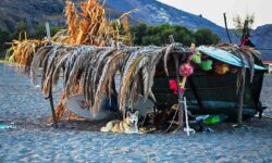 LGBT_Beach_Holidays_Eressos_Lesbos_Greece3