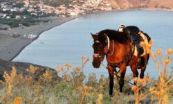 LGBT_Beach_Holidays_Eressos_Lesbos_Greece43